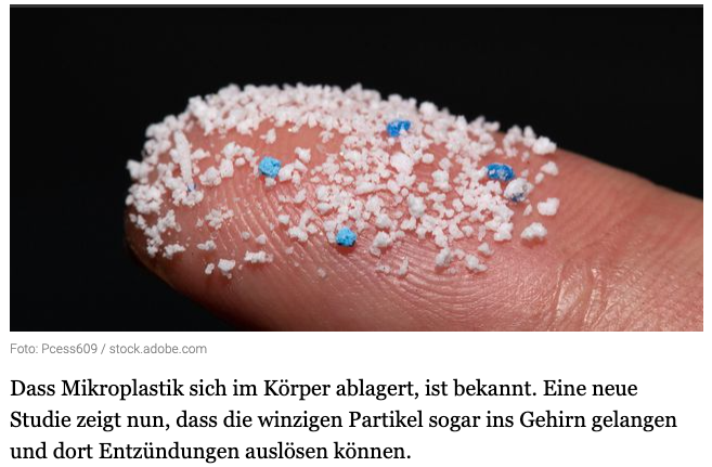 Entzündete Gefäße durch Mikroplastik